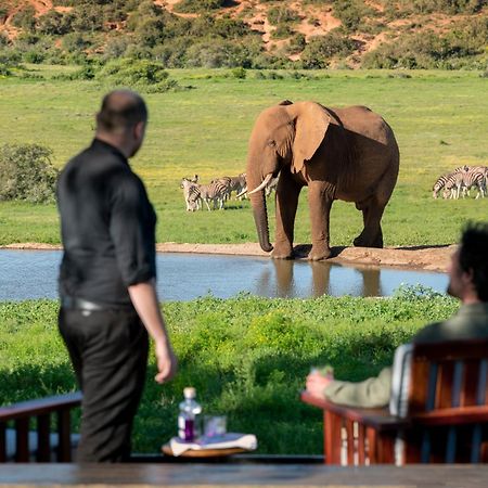 Gorah Elephant Camp Addo Exteriér fotografie