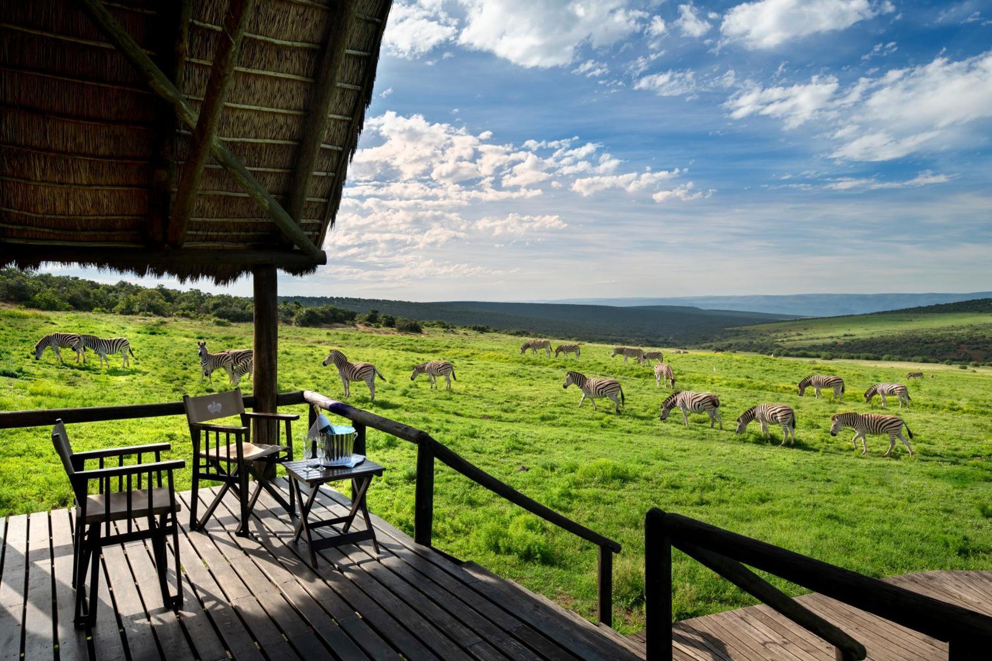 Gorah Elephant Camp Addo Exteriér fotografie