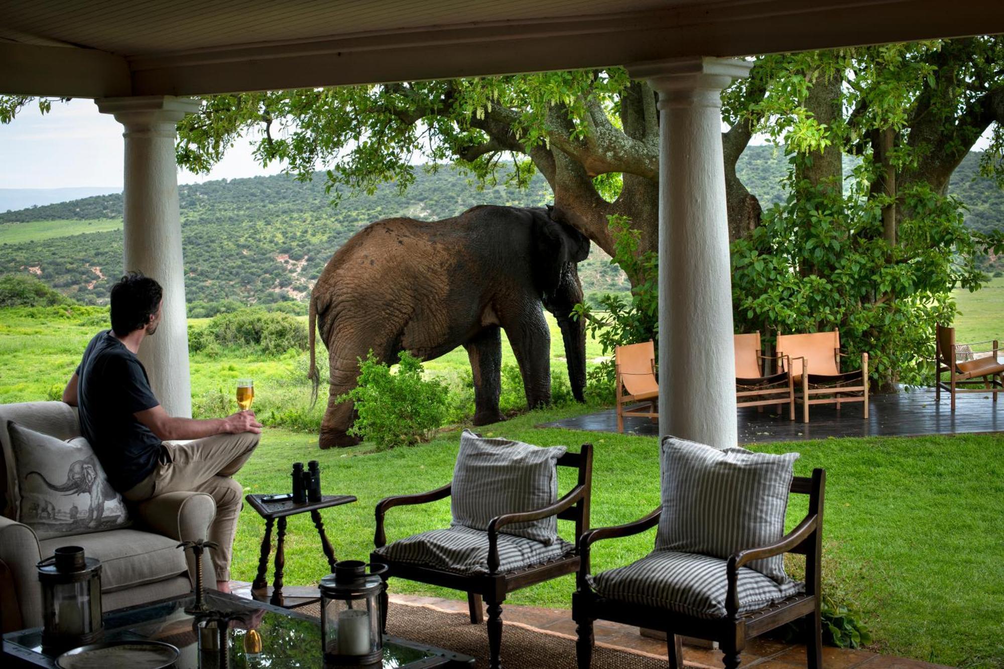 Gorah Elephant Camp Addo Exteriér fotografie