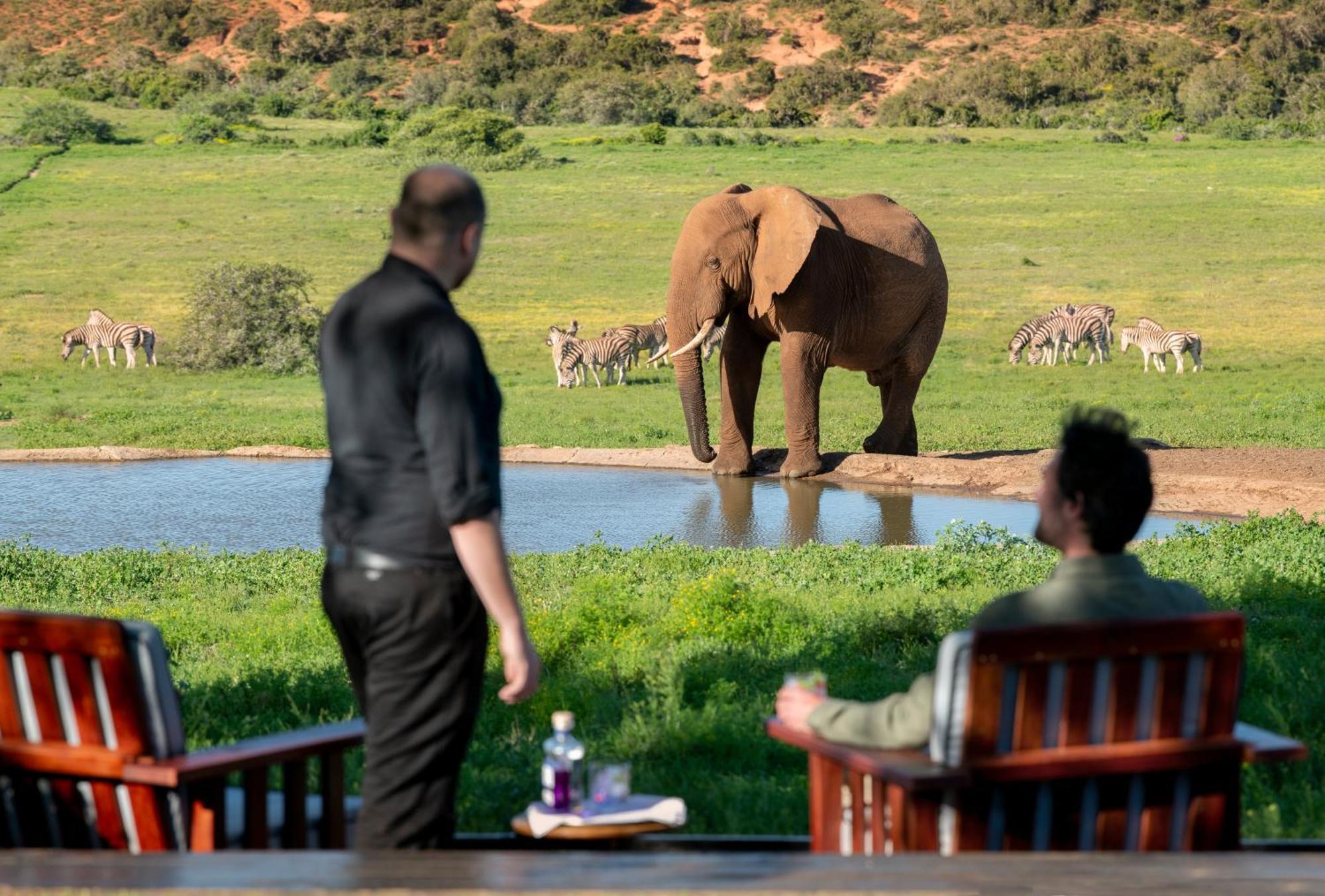 Gorah Elephant Camp Addo Exteriér fotografie