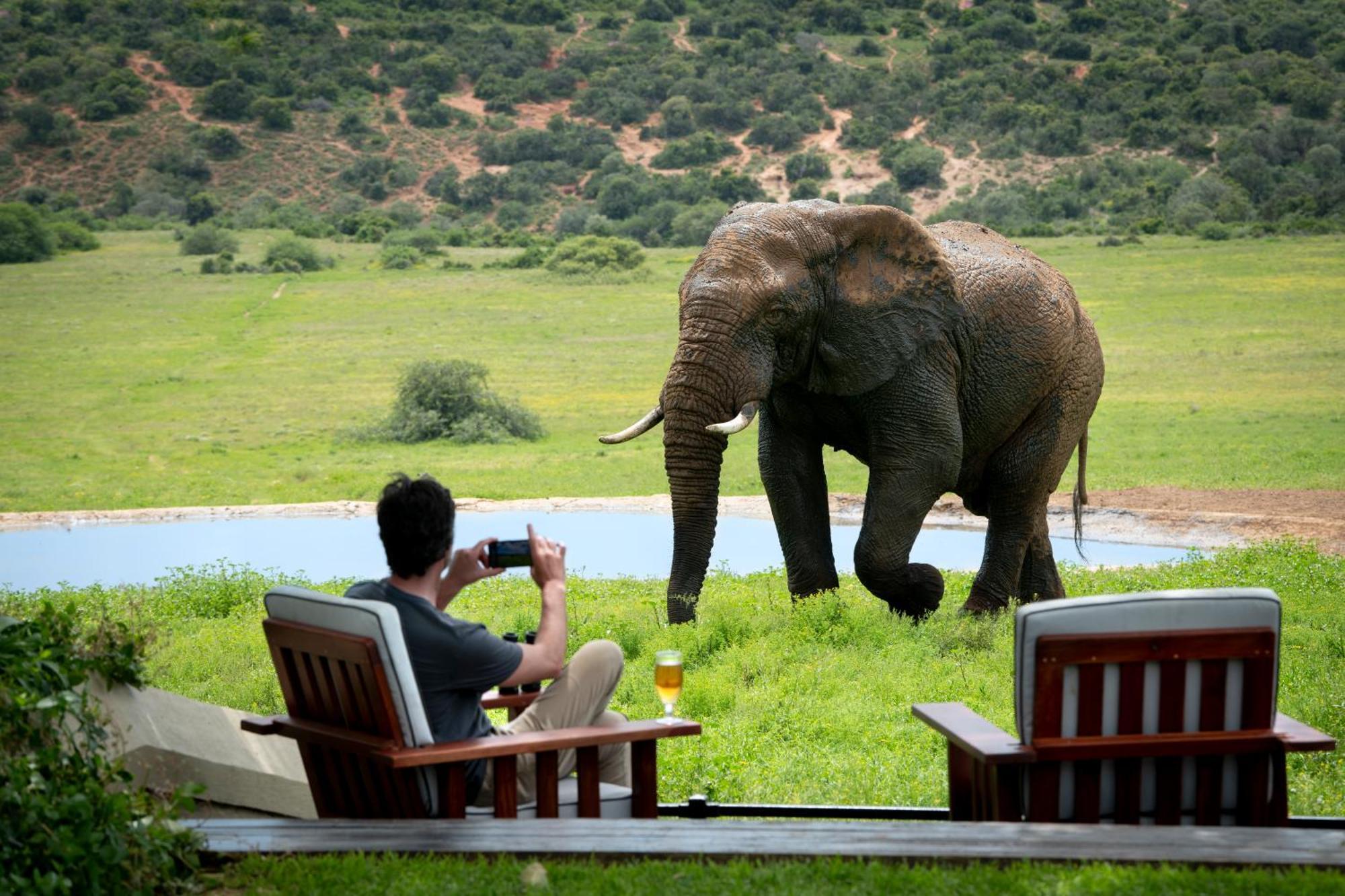Gorah Elephant Camp Addo Exteriér fotografie